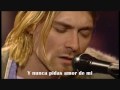 Nirvana - Jesus Don't Want Me For a Sunbeam ( Subtitulado )