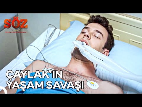 Çaylak #26 - Çaylak Olmadan Tim Olmaz! | Söz