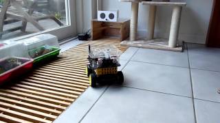 Robot with Raspberry Pi update - speech recognition
