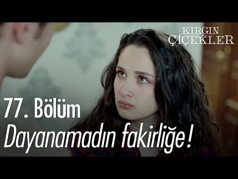 Dayanamadın fakirliğe! - Kırgın Çiçekler 77. Bölüm - atv