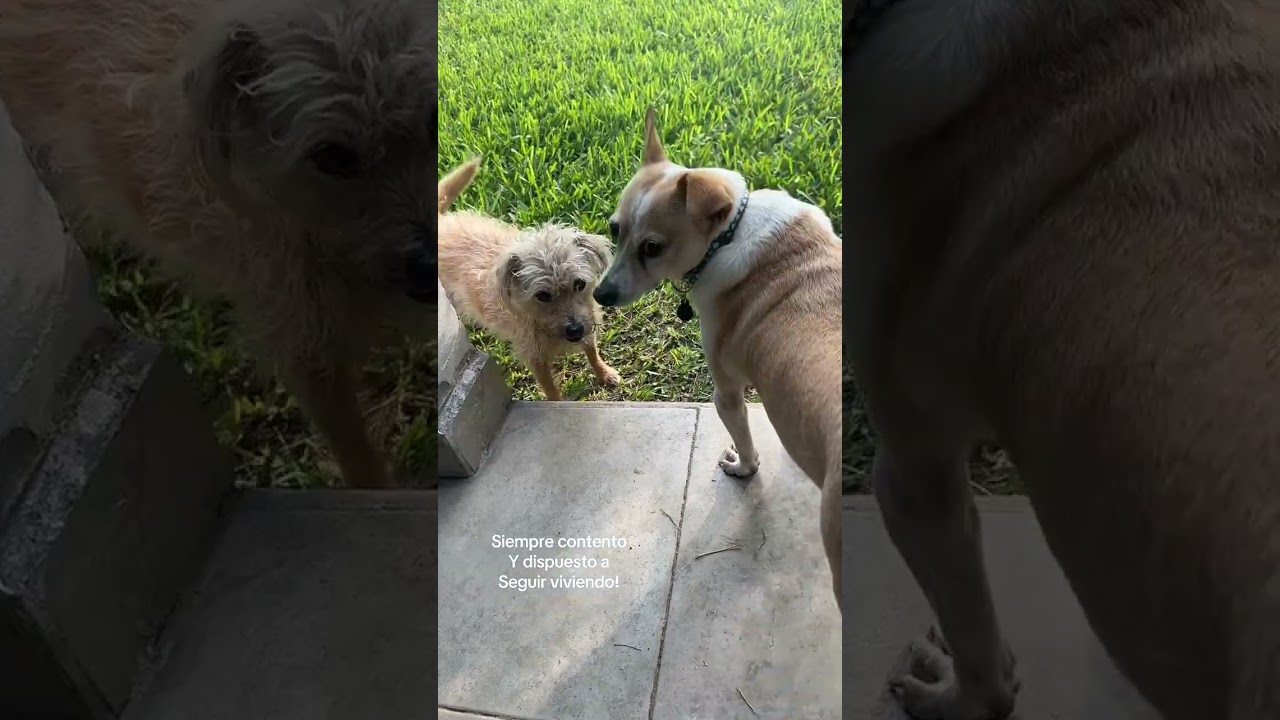 No te rindas! Mira a Benjy dos años después!