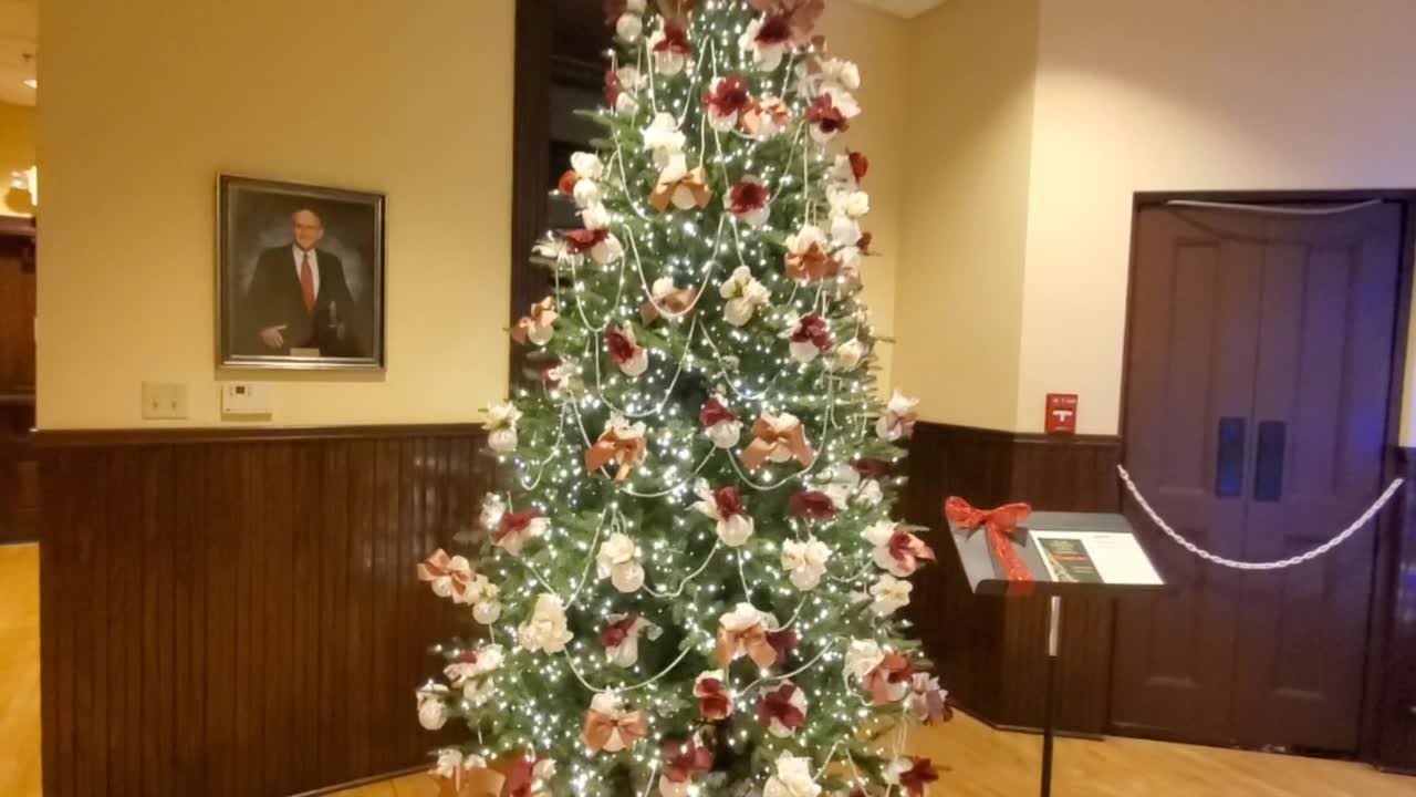 Kemper Center Gallery of Trees  ~ Snap-on