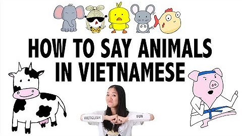 How To Say Animals In Vietnamese