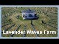 A Tranquil Escape - Lavender Waves Farm