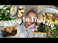 A Day In My Life | What I Eat | Chats