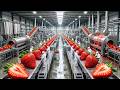 How Strawberry Jelly Is Made In Factory USA: Modern Dessert Making Technology (Full Process)