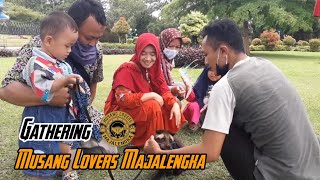GATHERING MUSANG LOVERS MAJALENGKA || SALAM WANGI SALAM LESTARI