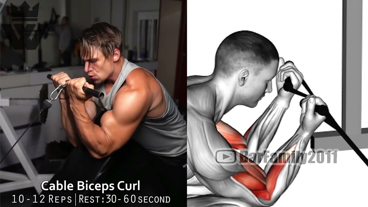 How To Build Big Biceps and Triceps Fast 8 Exercises