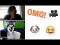 My Husky Goes on Omegle! (Hilarious)