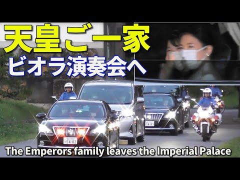 遺品整理◼️蔵からかなり古い超特大な星4つの謎のお