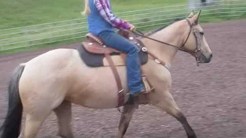 NAWD Ranch Horse Dressage