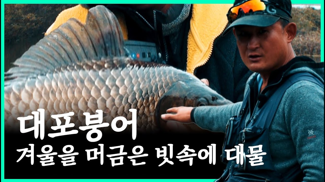 Отличный улов под зимним дождём!!! [Cannon Carp ep.07]