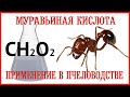 Муравьиная кислота — применение в пчеловодстве. | Formic acid - application in beekeeping.