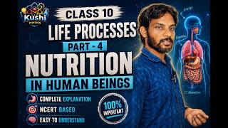Class 10 Life Processes Part-4 | Nutrition in Human Beings Full Chapter Explanation 🔥