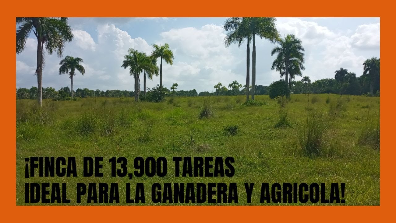 Finca de 13900 tareas Ganadera y Agrícola Monte Plata