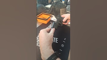 Smith & Wesson Shield Plus Quick Field Strip