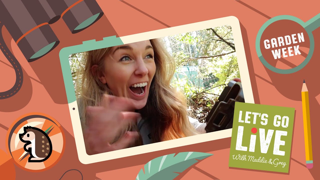 WOW! Spotted on our Wildlife Camera! | Garden Week Ep5 | Let's Go Live with Maddie & Greg #5