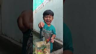 Haha lucu banget El pakai serok kecil tapi bisa dapat ikan banyak banget. 🤣