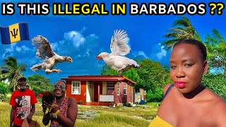 I Was WARNED Not To DO THIS in Barbados! 🇧🇧 Then THIS HAPPENED at the END