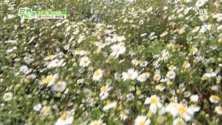 생방송 투데이 131001 #9(8)