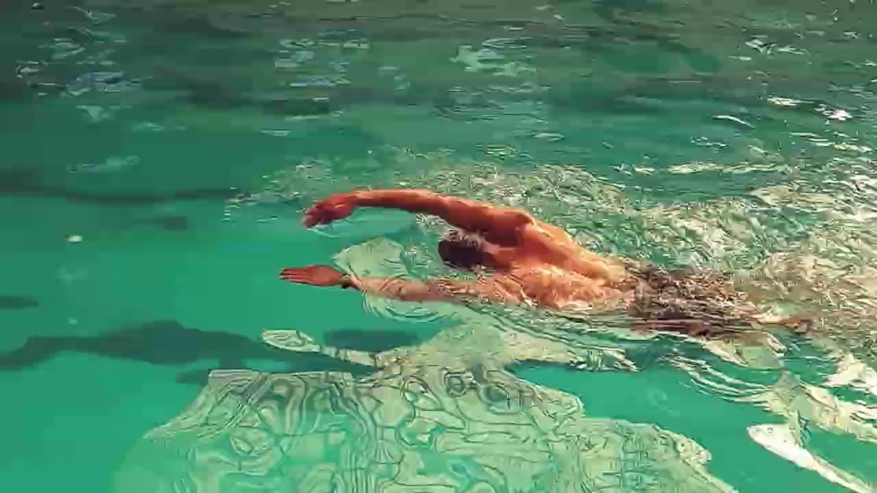 ١٢ يناير ٢٠٢٦