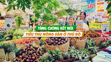Tăng cường xúc tiến, tiêu thụ nông sản Thủ đô | VTC16