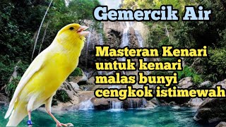 MASTERAN KENARI 1 JAM FULL GEMERCIK AIR ANTI STRES