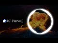 Dj Puma.C Dead Love (Official Single)