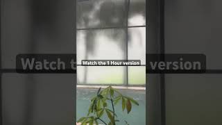Heavy Florida Rain Hits Pool Screen 🌧️🌴 #shorts