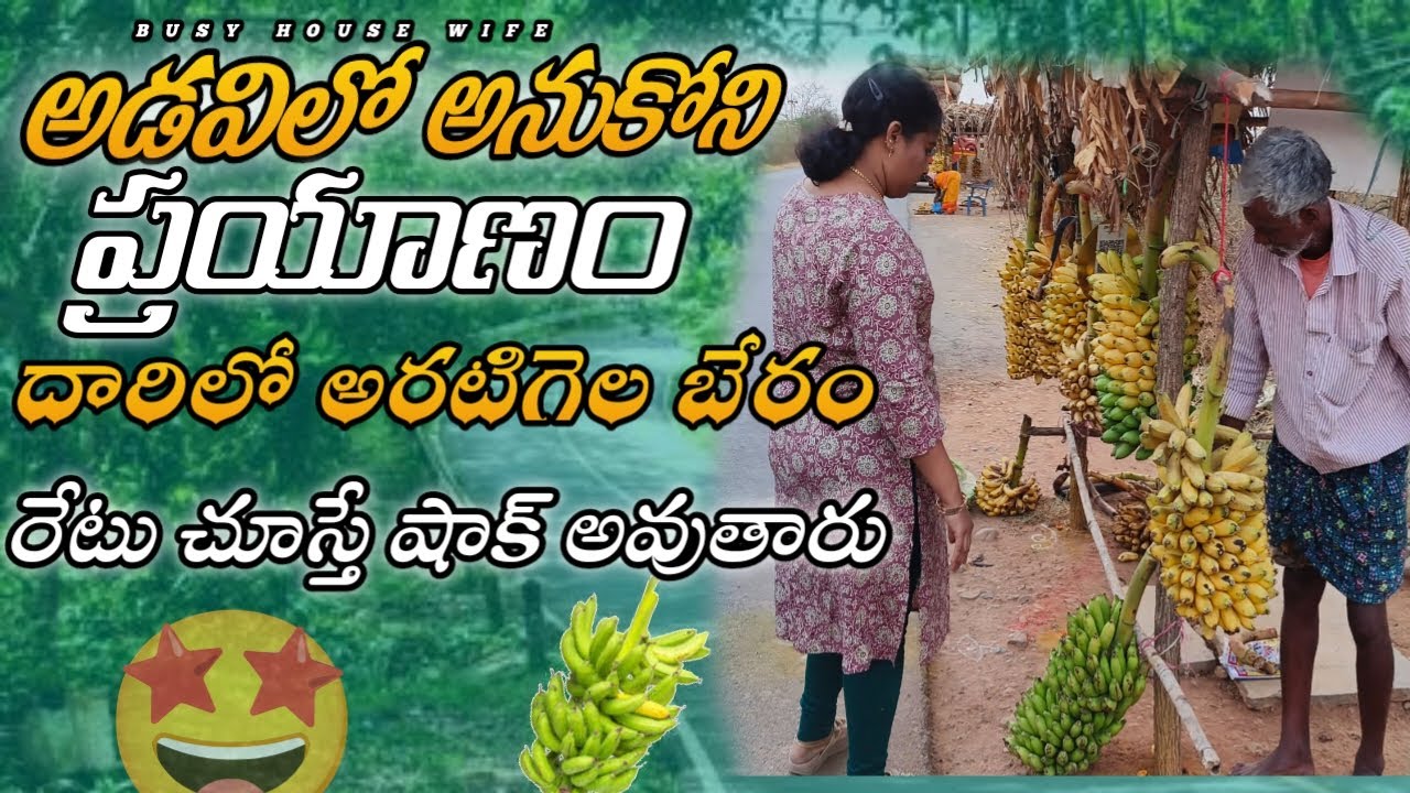 అనుకోకుండా ఊరికి ప్రయాణం || దారిలో అరటిగెల బేరం || రేటు చాలా తక్కువ || busy house wife