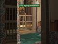 Hazrat Abu Ayub Ansari Mazar Before Earthquake Hazrat Abu Ayub Ansari Mazar Shotfeed Islamicshorts A