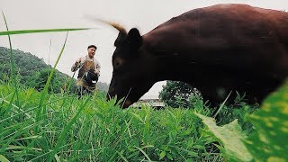 A day in the life of a Permaculture Farmer | Justin Rhodes (MEGA VLOG) Special