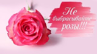 БОЛЬШЕ НЕ НУЖНО ВЫБРАСЫВАТЬ ЦВЕТЫ! Как продлить жизнь цветам. Розы в воске!