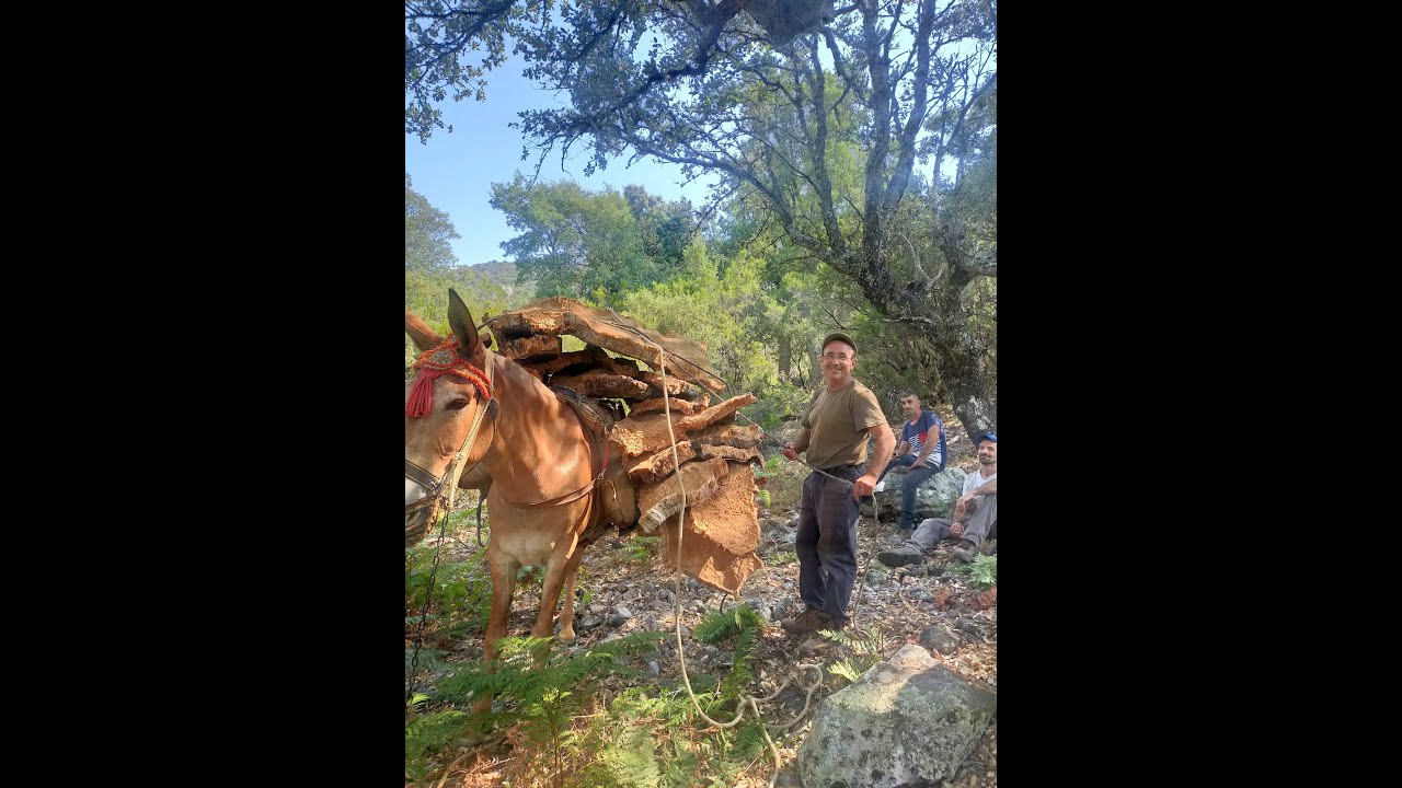 Un día con:   José María Durán