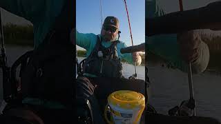 Hungry bass #shorts #bassfishing #kayakfishing