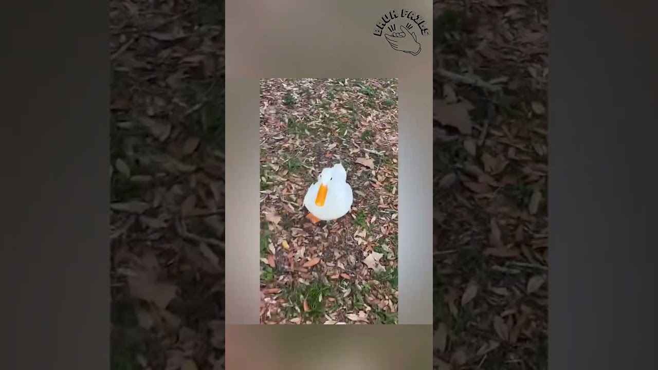 Top 3 Fails Today 🤣 