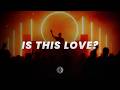 Palm Monkey - IS THIS LOVE? [Afro House]