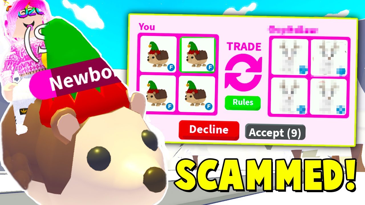 Buying The Brand New Elf Hedge Hog And Shrew I Got Scammed On - head elf roblox