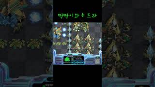 딱딱이와 히드라 #빨무 #스타크래프트
