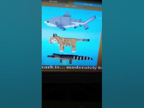 Yes We Finally Bull Shark Model Amazon Ascension Roblox - YouTube