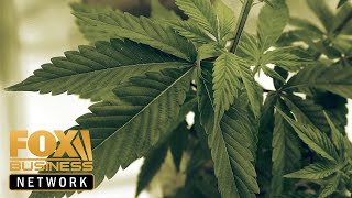 Congress to vote on allowing banks to finance marijuana businesses