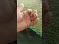 hath ki lakeer🤲