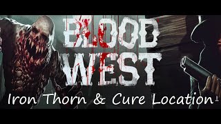 Blood West Chapter 2: Iron Thorn and the Cure Location screenshot 3