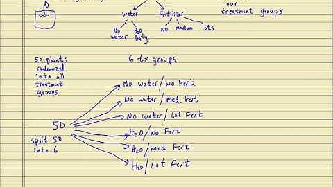 Completely Randomized Design #2