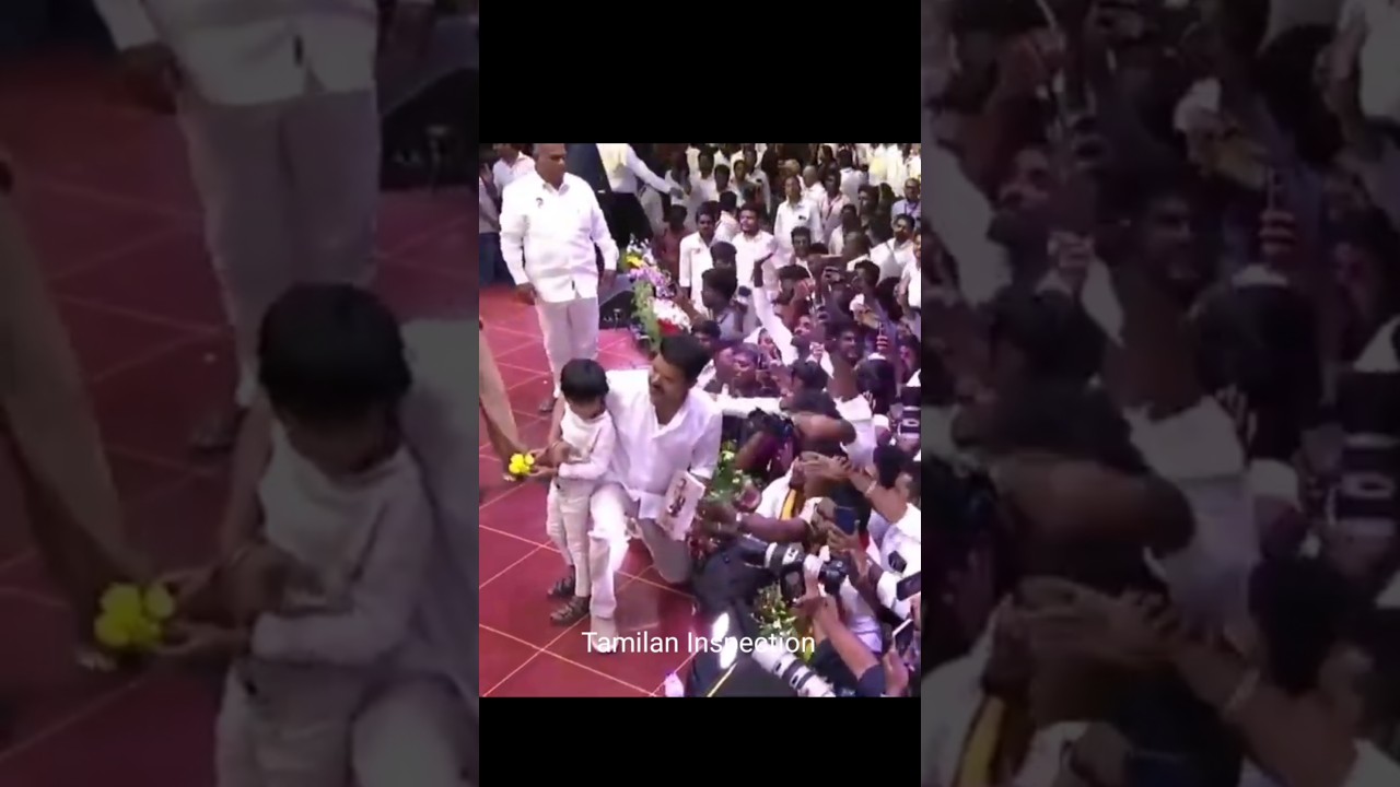 Thalapathy vijay 😍 | TVK | 