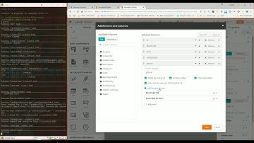 Episode 31 - [Debug - Grunt] How to debug my code on design time update