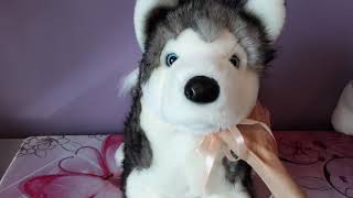 Unboxing Lobo the Husky Plush Dog by Douglas 🐾💙🤍 screenshot 5