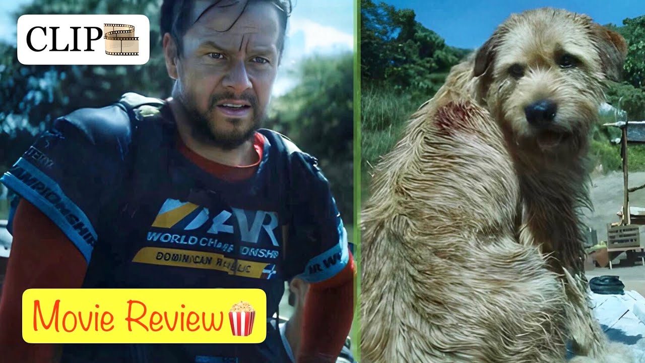 From Stray to Hero: Dog Joins Athletes in Epic Jungle Race / Movie ...