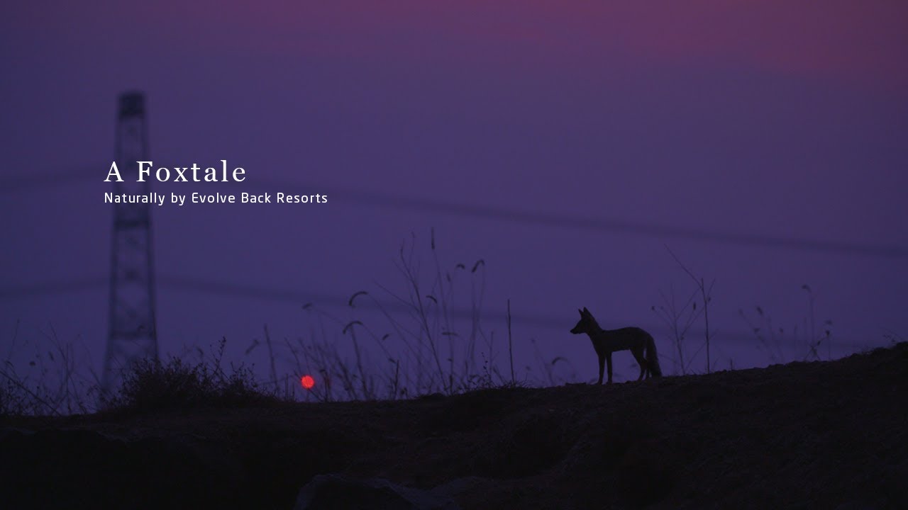 A Foxtale - Naturally by Evolve Back Resorts