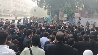 Punjab Bar Election 2025 - 2030 Lahore Highcourt Lawyers